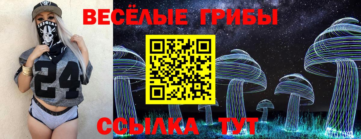 Галлюциногенные грибы Psilocybe Надым
