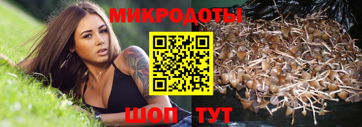 Псилоцибиновые грибы MAGIC MUSHROOMS  Вход с VPN  Надым 